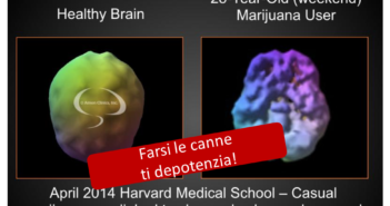 La cannabis ora “fa cultura”: la società dei messaggi al contrario, che prima diseduca e poi piange la crisi dei suoi giovani